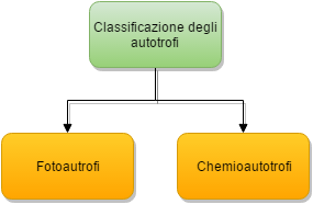 Autotrofi - classificazione